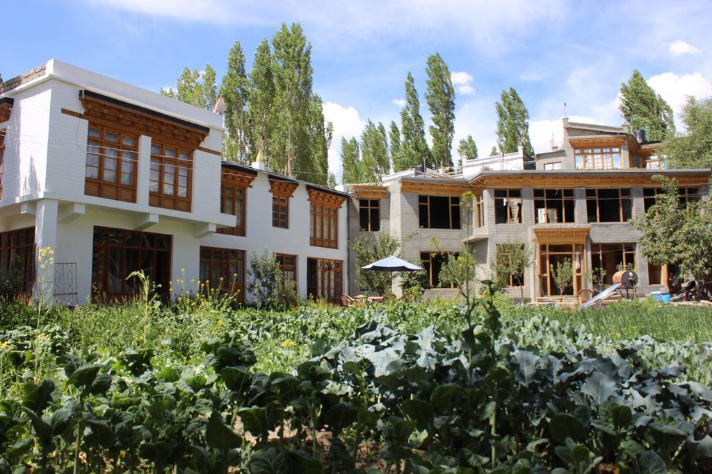 Jimmy'S Homestay Leh Buitenkant foto