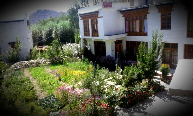 Jimmy'S Homestay Leh Buitenkant foto
