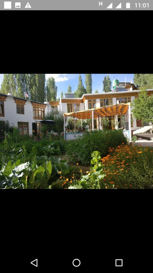 Jimmy'S Homestay Leh Buitenkant foto